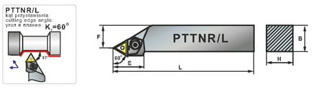 PTTNR.jpg