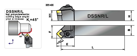 DSSNR